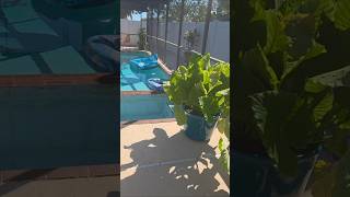 3 bedroom home for sale with pool near Tampa Florida! NO HOA!