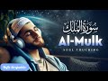 Beautiful Recitation of Surah Al Mulk . #quran #recitation #tilawat #youtube 