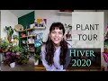 PLANT TOUR HIVER 2020 : + DE 70 PLANTES DANS MON SALON