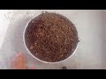 Kitchen west se compost khad banane ki vidhi/गार्डन के लिए बनाएं शक्तिशाली खाद एकदम फ्री में