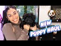 Meet My New Puppy & Puppy Haul!