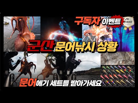 풍낚TV 문어낚시/7월15일 현재 군산권 문어낚시 상황/구독자이벤트/문어에기세트 드림/군산먹깨비호/Octopus fishing