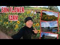 vlog#41 PASYAL SA SUNFLOWER FARM