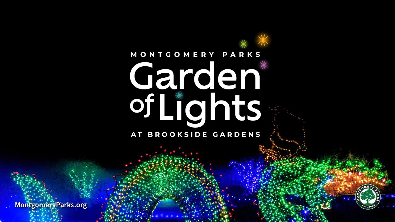 Hummert International, image size:1280x720