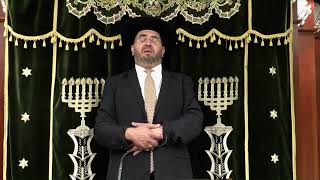 הרב אדיר עמרוצי -  ט'ו באב וסגולותיו - תשפד
