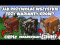 Jak przywołać wszystkie trzy warianty krów za pomocą komendy w Minecraft?