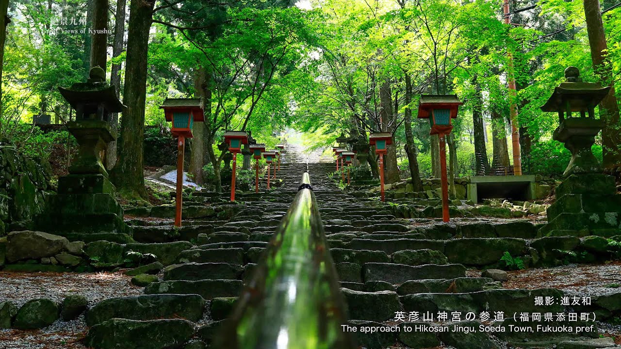 絶景九州 2021年6月放送「緑の絶景」