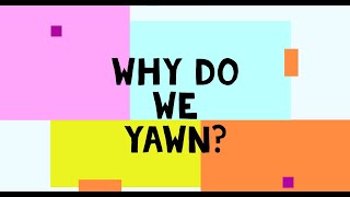 Why do we yawn ? Why is yawning contagious ? || Idea Animations