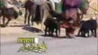 hazaragi vedio music