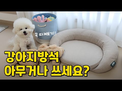좋은 방석 고르는 4가지 기준!! 아무 방석이나 쓰지 마세요