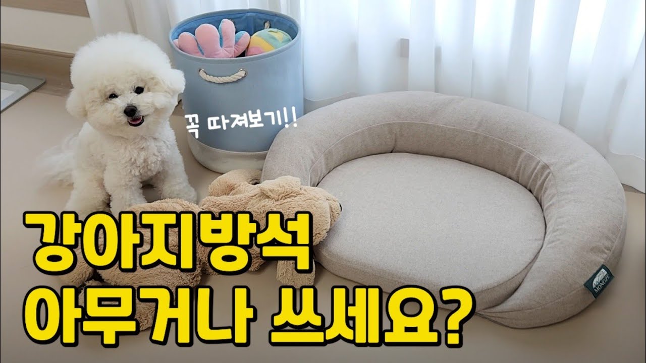 좋은 방석 고르는 4가지 기준!! 아무 방석이나 쓰지 마세요