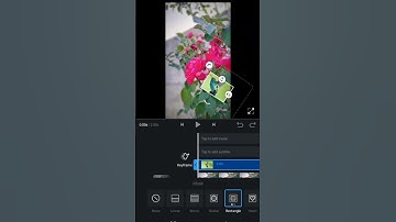 Vn video editor vn se flowers par bird set kare 😱 #shorts