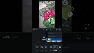 Vn video editor vn se flowers par bird set kare 😱 #shorts screenshot 1