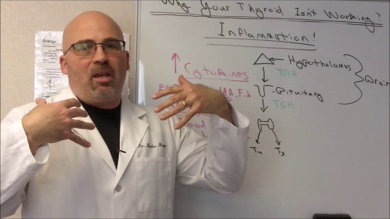 Dr  Mays Video Series- Inflammation and Poor Thyroid Health