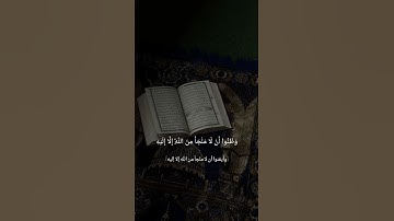 حَتَّى إِذَا ضَاقَتْ عَلَيْهِمُ الْأَرْضُ بِمَا رَحُبَتْ_ علي جابر سورة التوبة [اية -118]