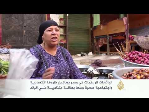 معاناة البائعات الريفيات في مصر