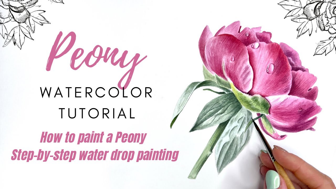 Watercolor Tutorial 🌸 How To Paint A Peony 💧 Step-by-step How to Paint ...