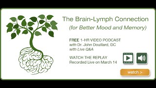 The Brain-Lymph Connection (For Better Mood & Memory) | John Douillard's LifeSpa