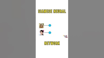 Siamese Neural Networks Explained in One Minute