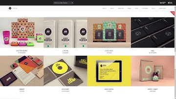 Visia - Responsive One Page Drupal Theme