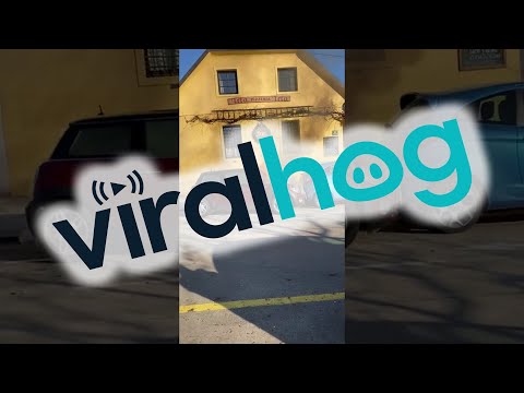 Car Fire Causes Engine to Start Itself || ViralHog