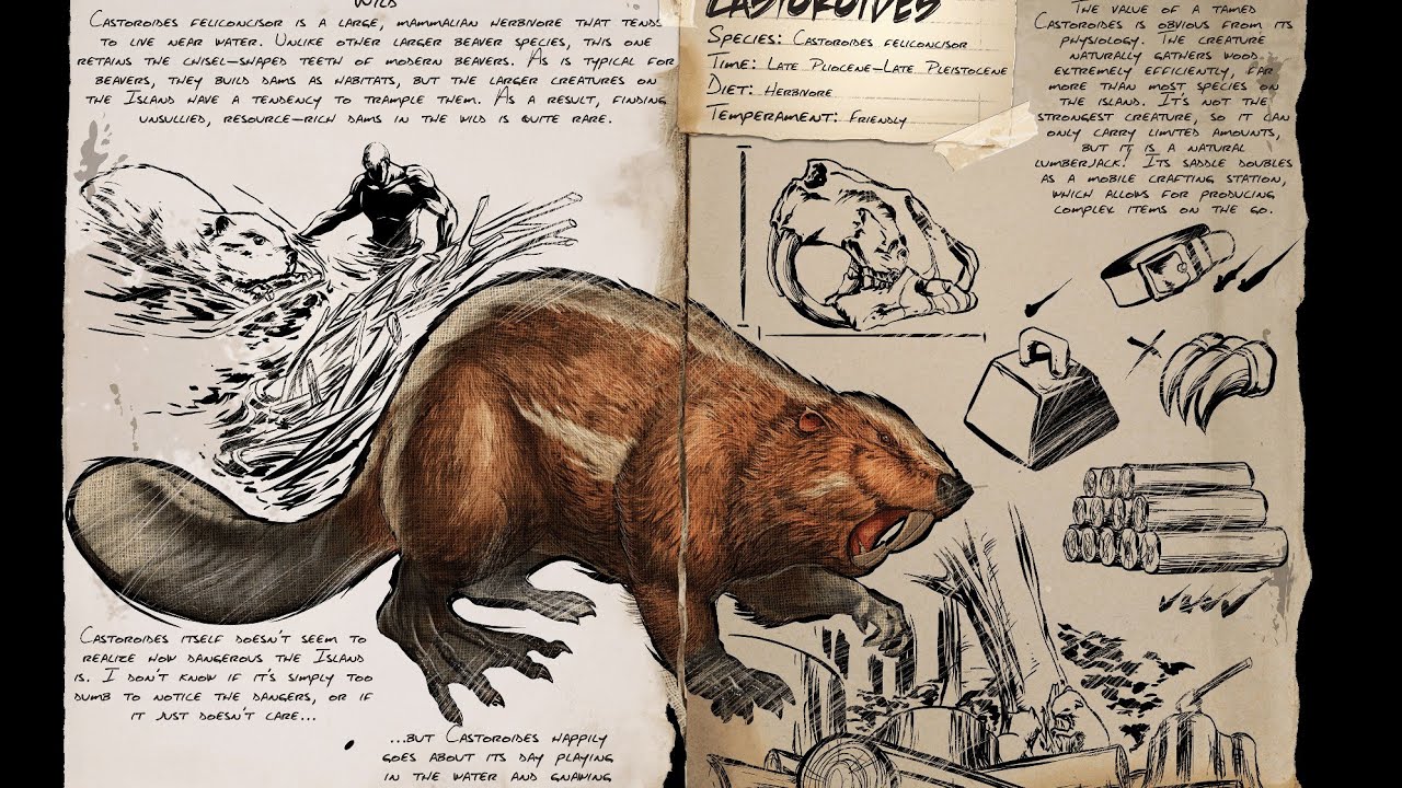 Ark Survival Ascended How to Tame a Castoroides Early Game