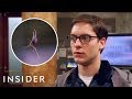 How Bugs Are Trained For TV And Movies | Movies Insider