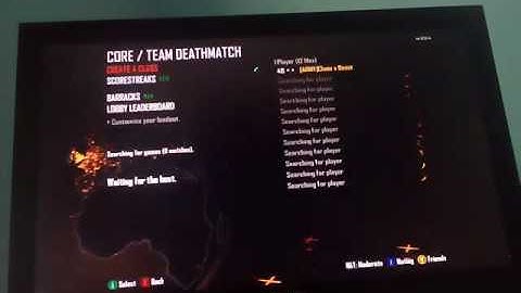 Playing cod2 on bots