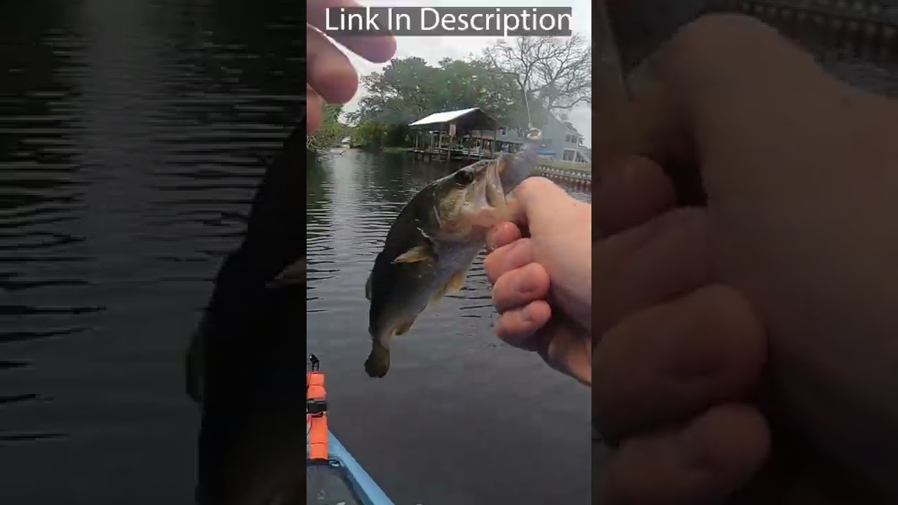 BioSpawn ExoSwim Bass Fishing Lure!? 