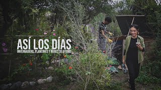 Así LOS DÍAS DE OTOÑO desde que DEJAMOS LA CIUDAD para VIVIR EN EL MONTE 🍂☁️ Invernadero y almácigos