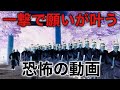 【本物です】叶わない願いも叶うと噂の動画/早い人は再生中に叶います