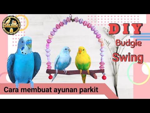 Lovebird Fighter Ngekek Panjang, Cepat SEKALI MERANGSANG LABET APAPUN JADI GACOR CEPAT NGEKEK