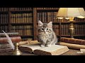 Уют, тишина и кот на книге… идеальный день 💤📘Самый пушистый читатель в библиотеке 😽📖