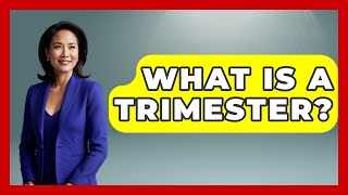 What Is A Trimester? - The College Explorer
