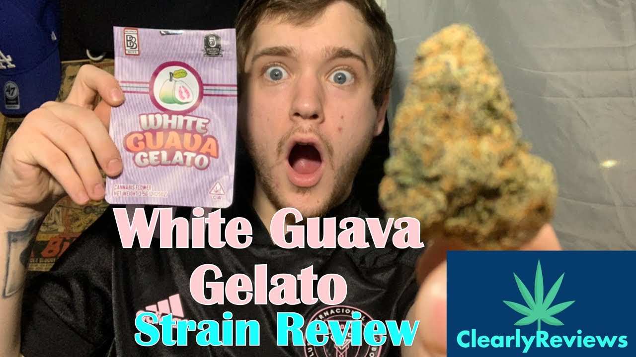 White Guava Gelato By 