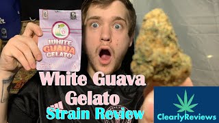 White Guava Gelato By @officialbackpackboyz  STRAIN REVIEW#203
