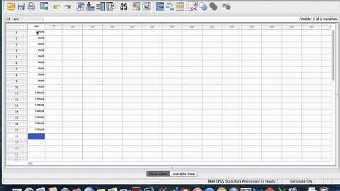 Variable Creation and Data Entry in SPSS