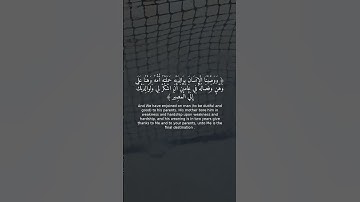 تلاوة خاشعة | سورة لقمان الآية 14 | تريح القلب 💖