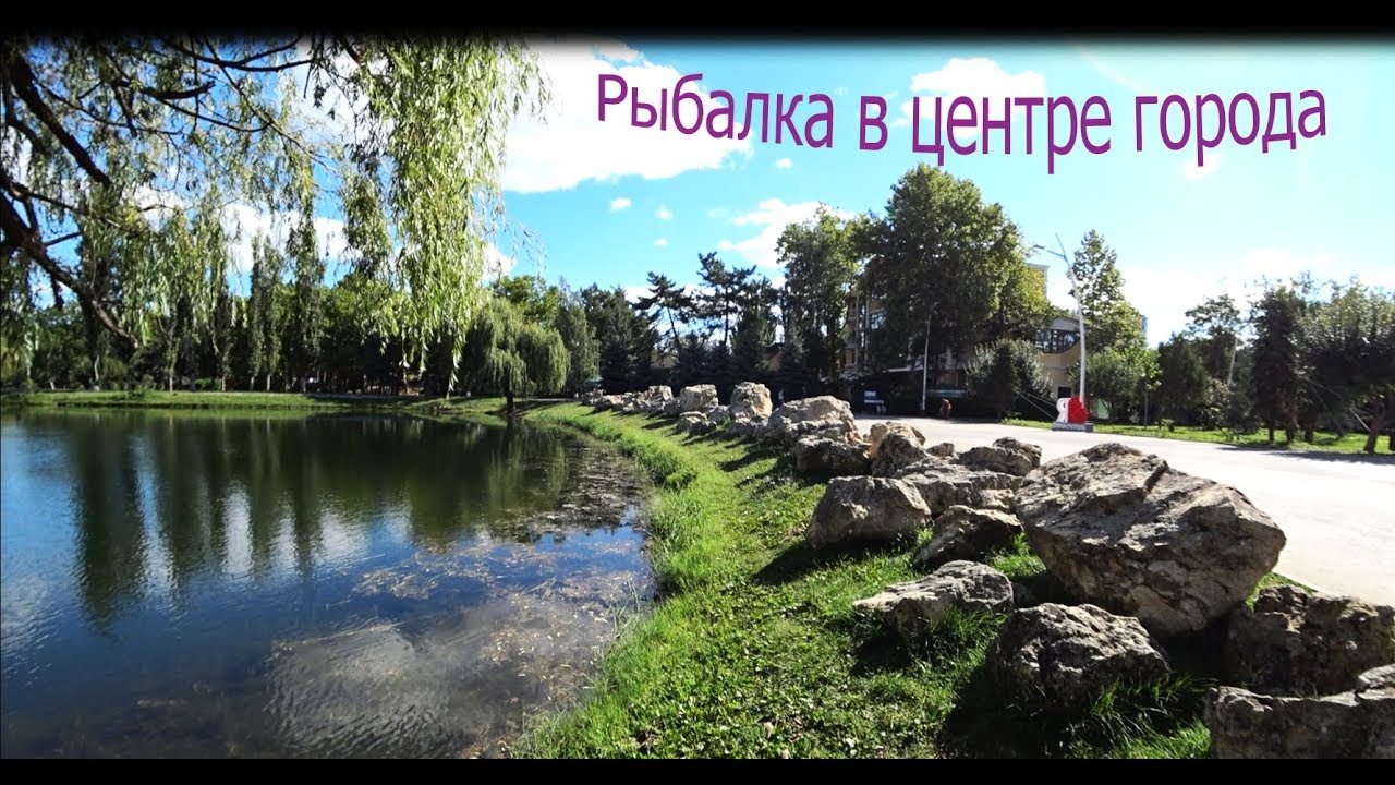 Зеленая нива рыбалка крым