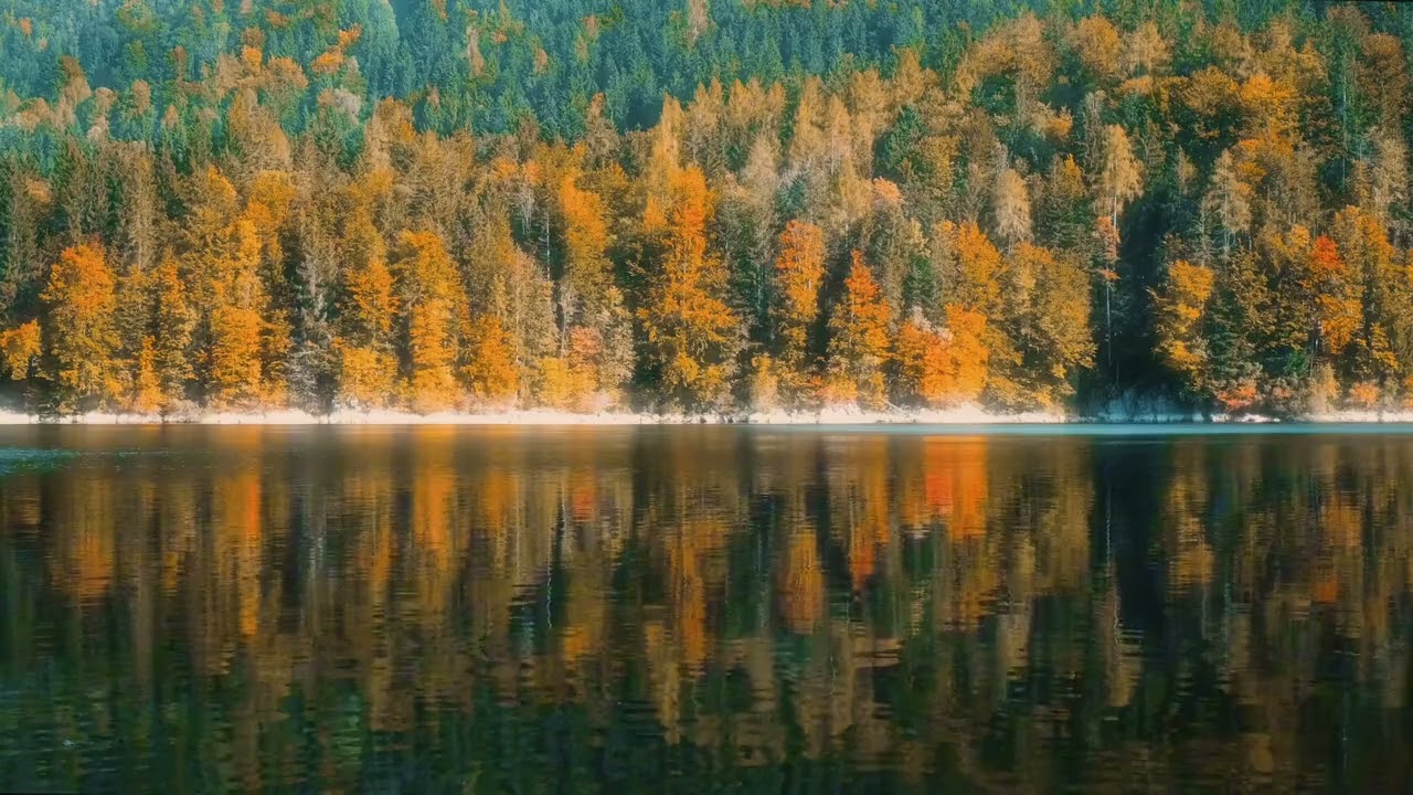 20 Minutes of Peaceful Nature 🌿 Relaxing Forests & Calm Lakes for Stress Relief
