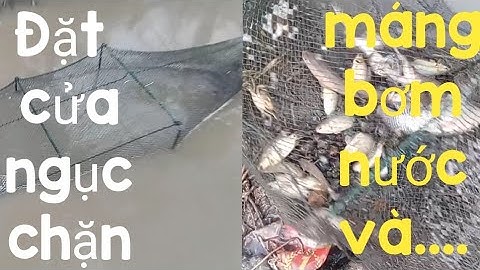 Đặt đú, đặt 12 cửa ngục kiếm cá ăn và cái kết.(Kênh săn bắt).