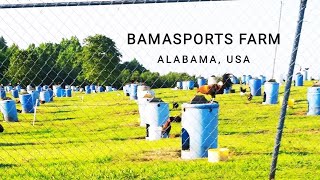 BAMASPORTS FARM || beautiful farm in Alabama, USA