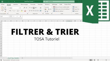 Comment filtrer et trier des données dans un tableau ? - Excel - TOSA 2016