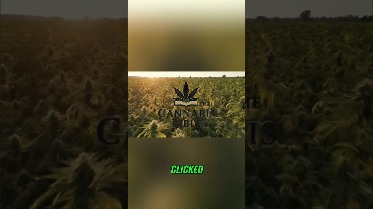 The Fan Clicked: Kingdom Come Revealed! #shorts