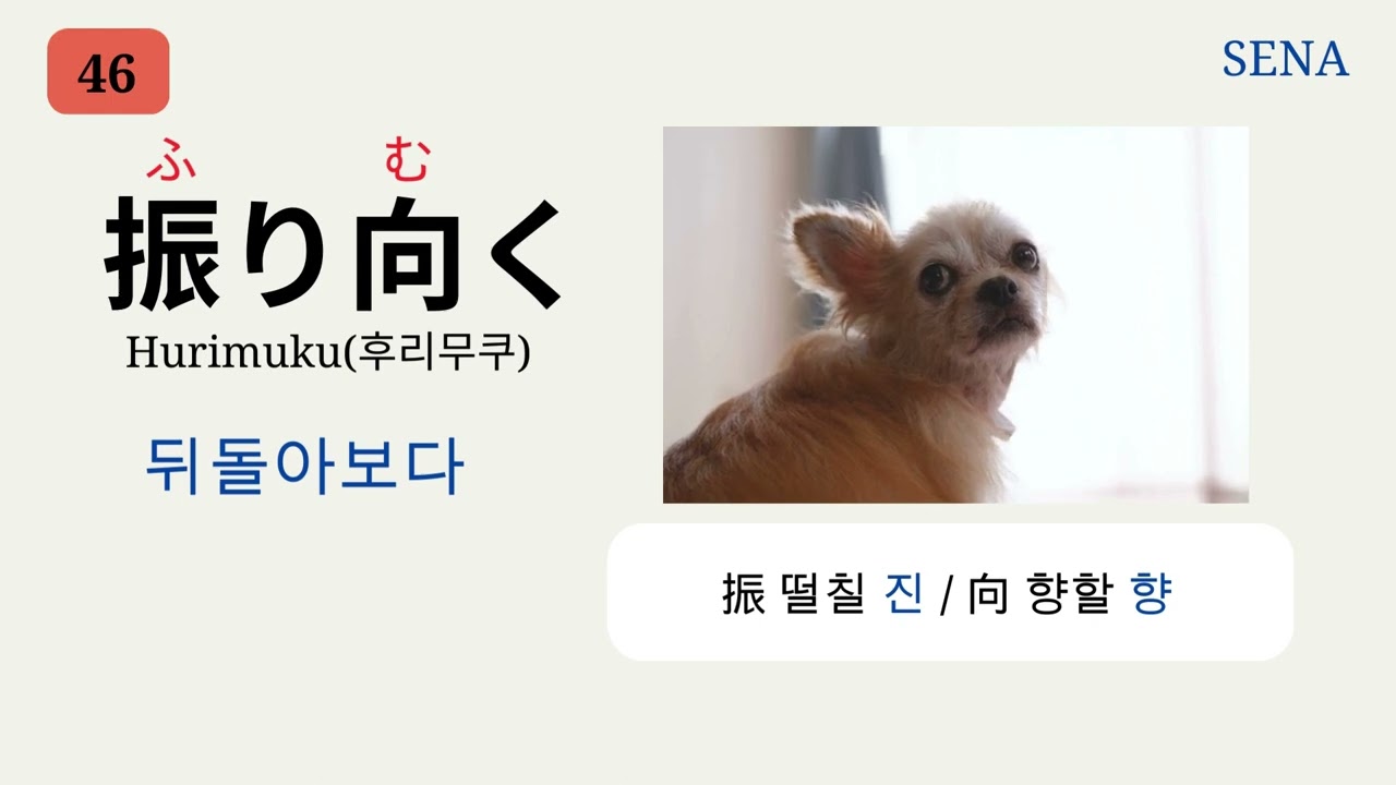(1차) 일본어 JLPT N2급 1-100 : N2급을 향한 단어 신속 정복!