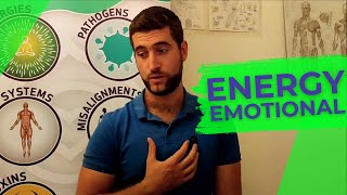 Celebrity The Body Code - Energy Emotional Profile