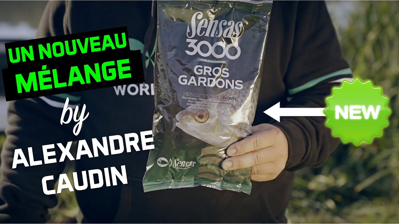 Amorce SENSAS 3000 CARPES ET GROS POISSONS FINE MOUTURE 1kg