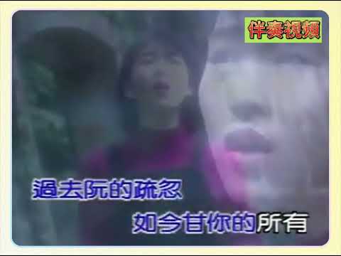 張秀卿 分離的感受 KTV 伴奏 no vocal 無人聲 music 純音樂 karaoke 卡拉OK 伴唱 张秀卿 分离的感受