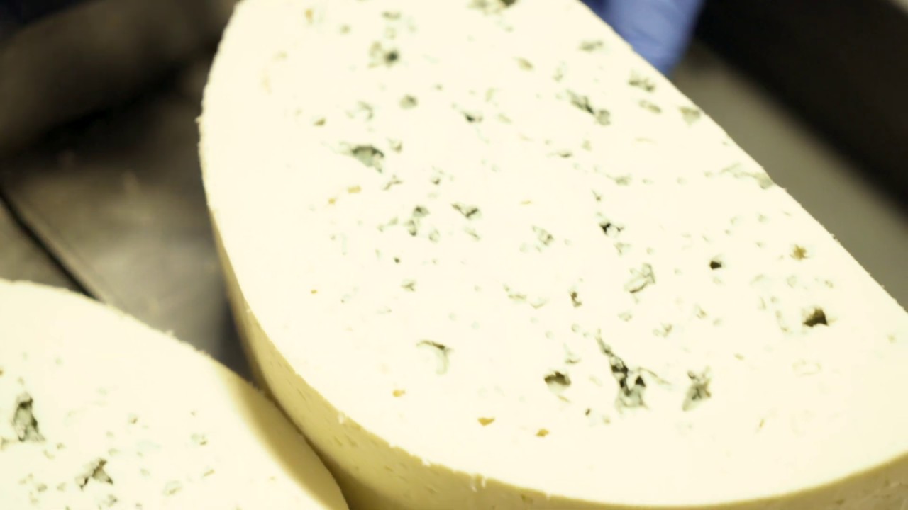 Blue Cheese Secrets How Blue Cheese Is Made YouTube