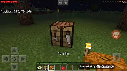 Pt.1 geting wood and making a house and nick geting a cat